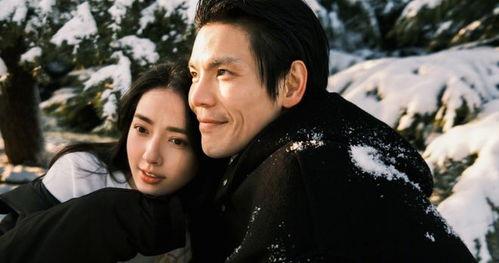 张小寒最新爆料向佐续集,揭秘豪门恩怨背后的真相